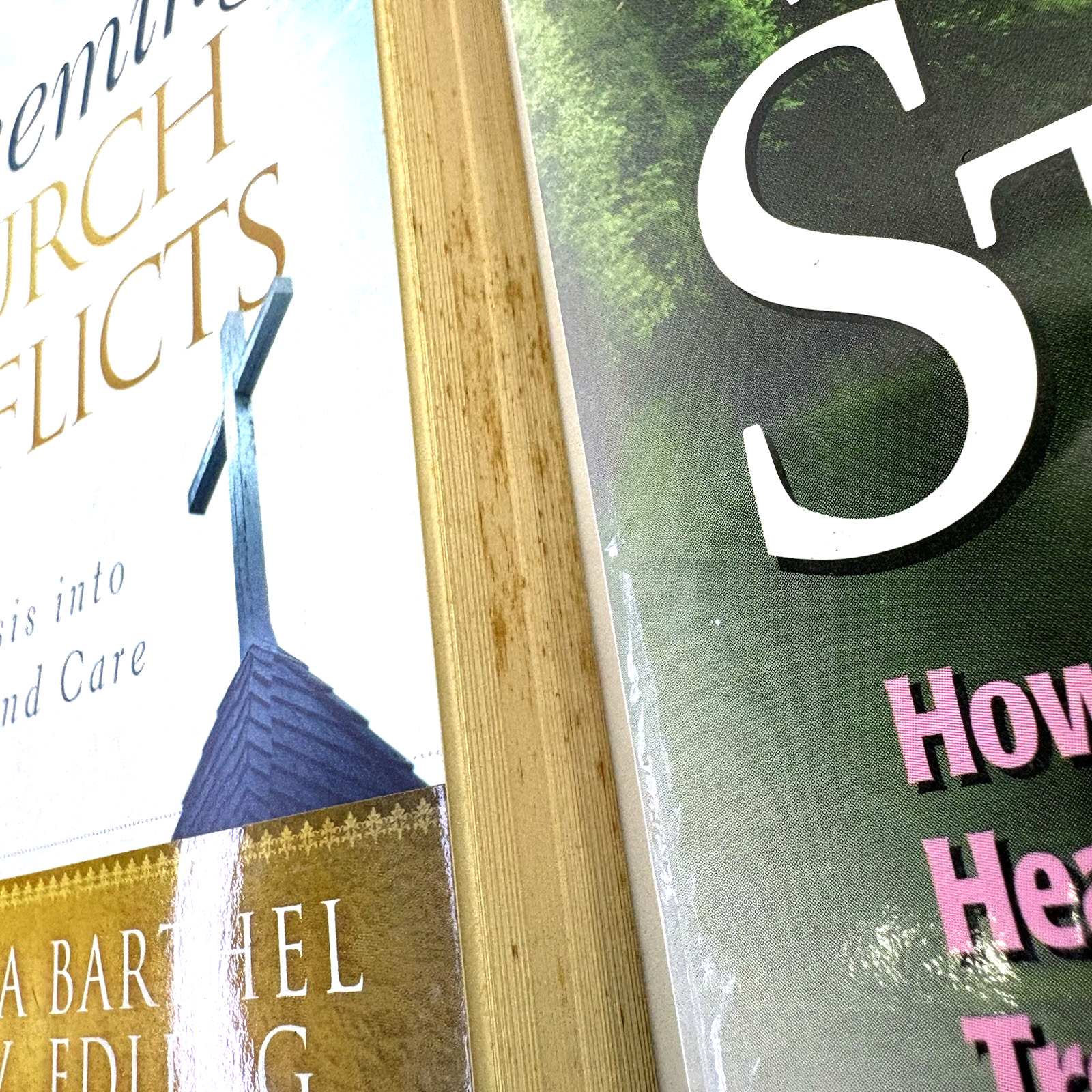 3 Life Without Strife Redeeming Church Conflicts Love Is Something You Do +Bonus